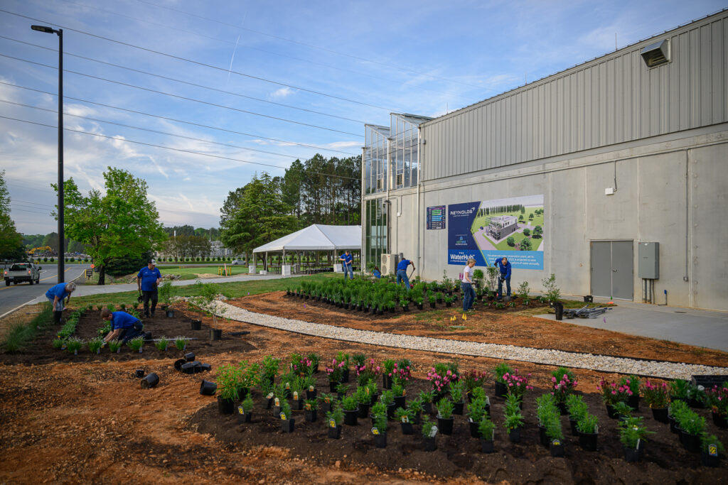 A view of the Reynolds WaterHub Pollinator Garden in Tobaccoville, North Carolina.